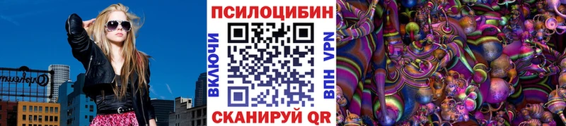 как найти закладки  Нолинск  Галлюциногенные грибы мицелий 