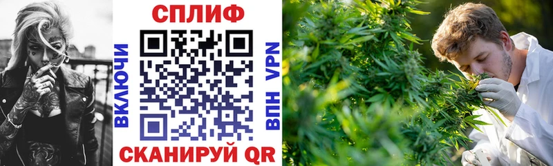 Канабис ГИДРОПОН  купить  цена  Нолинск 